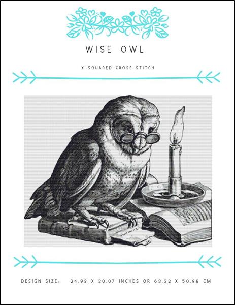 Wise Owl