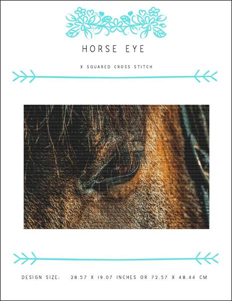 Horse Eye
