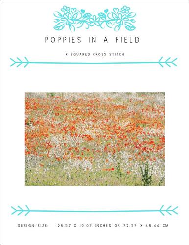 Poppies in a Field