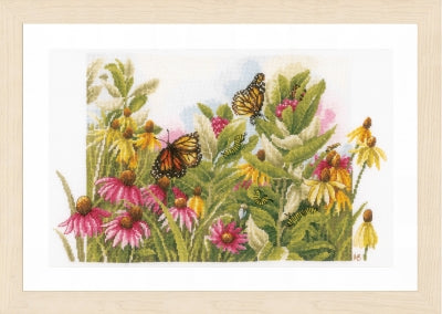 Butterflies and Coneflowers