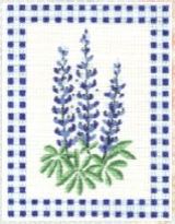 Bluebonnets