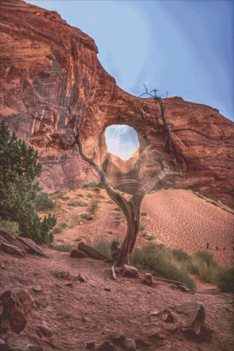Resistance Monument Valley