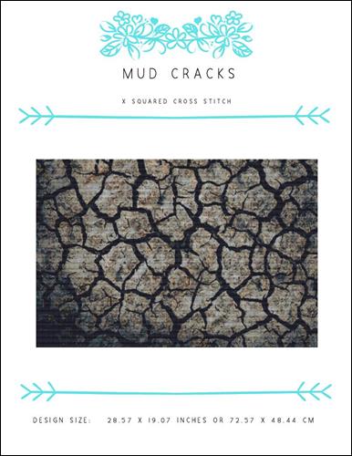 Mud Cracks