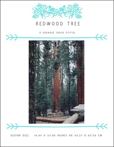 Redwood Tree