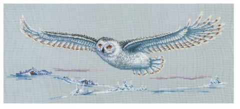 Polar Owl