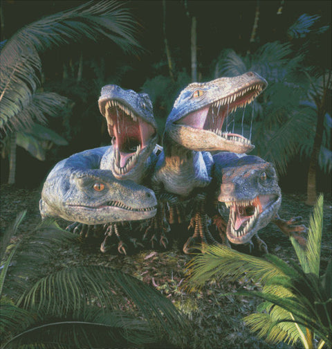 Raptor Group