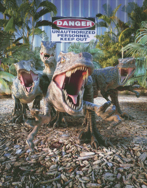 Raptors Compound