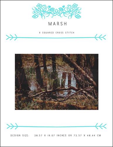 Marsh