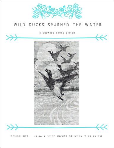 Wild Ducks Spurned the Water