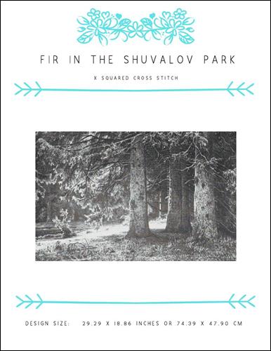 Fir in the Shuvalov Park