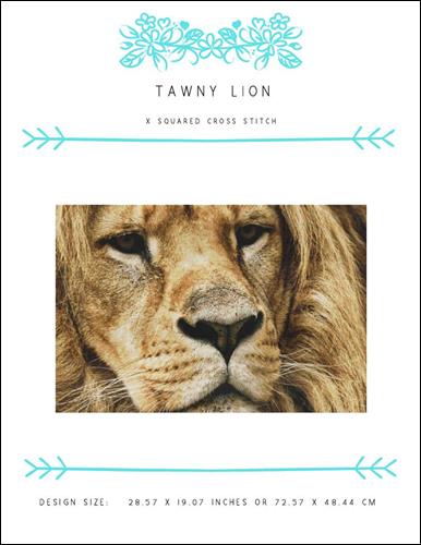 Tawny Lion