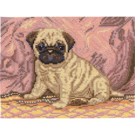 Pug