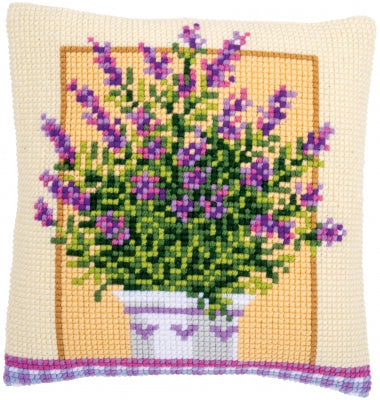 Lavender in Pot