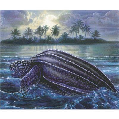 Moonlit Turtle