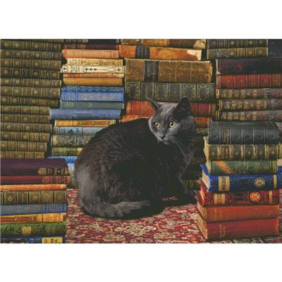 Library Cat
