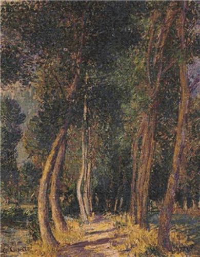 In the Woods