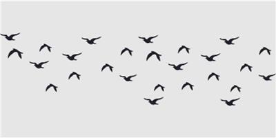 Flock of Birds