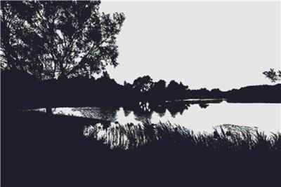 Landscape Silhouette