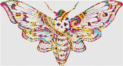 Pink Paisley Moth