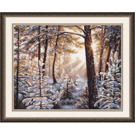 Frost and Sunlight