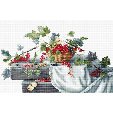 Red Currants