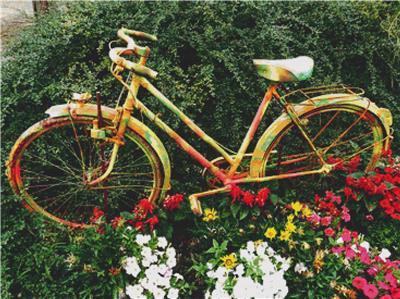 Floral Bicycle