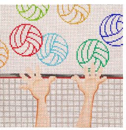 Volley Ball Square