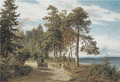 Road in Finland