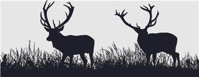Deer Silhouette