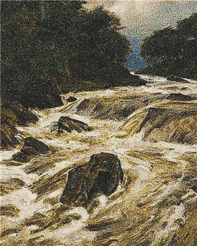 Rushing Stream