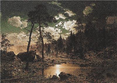 Forest Landscape in Moonlight
