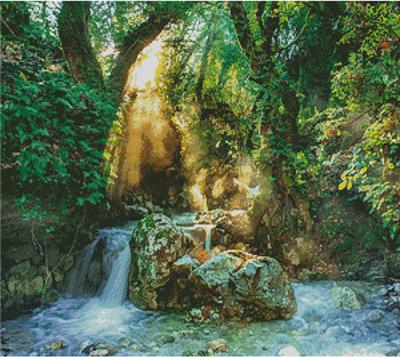 Forest Sanctuary
