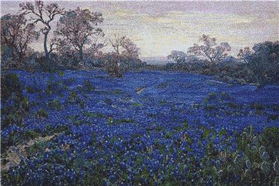 Bluebonnets at Twilight
