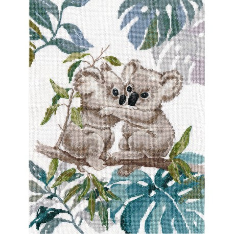 Koalas