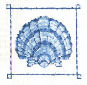 Blue Banded Scallop Shell