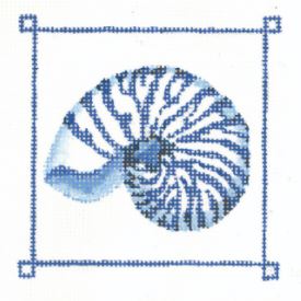 Giant Banded Snail Shell