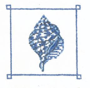Marine Blue Tulip Shell