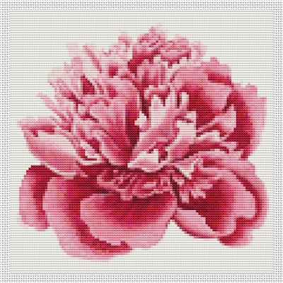 Peony