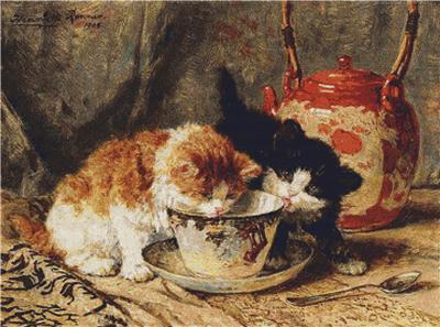 Tea Time