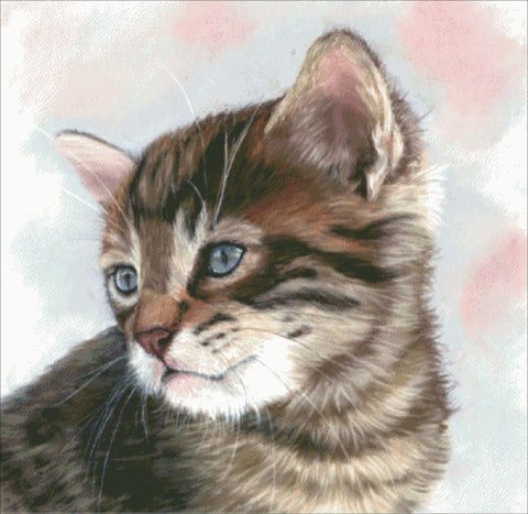 Misty Kitty - Joanne Rowland