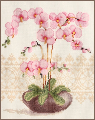 Orchid