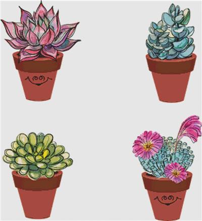 Succulents in Clay Pots II