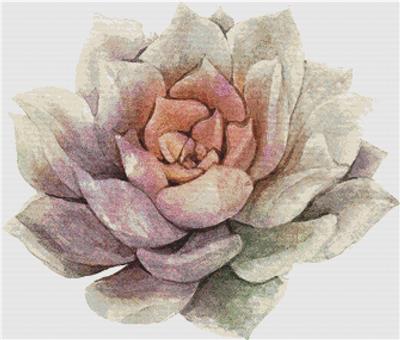 Large Single Succulent I