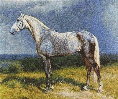 Proud Horse