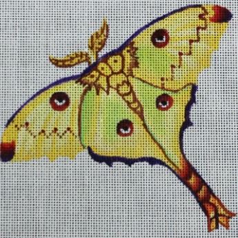Yellow Butterfly