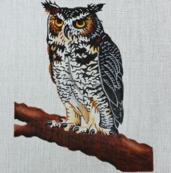 Owl on Branch