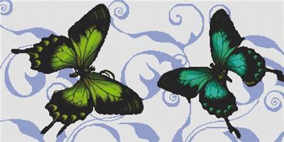 Butterflies