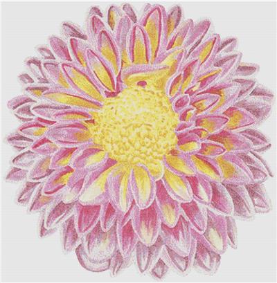 Watercolour Dahlia