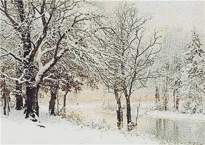 Winter Evening