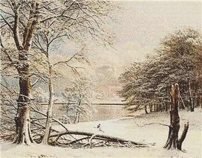 Sunlight on the Bank of a Lake in Winter